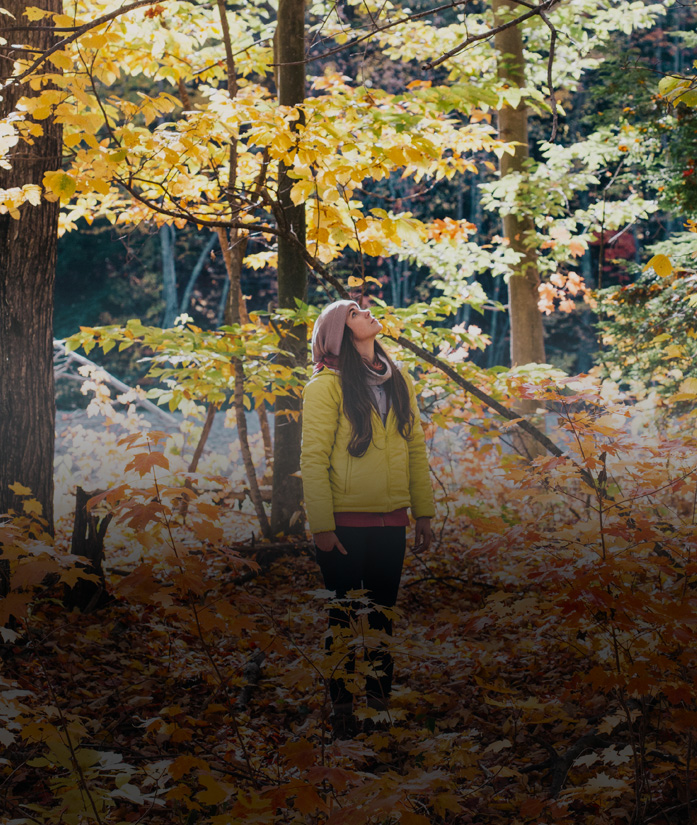 SOCIAL MEDIA MANAGEMENT Image