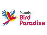 Bird Paradise