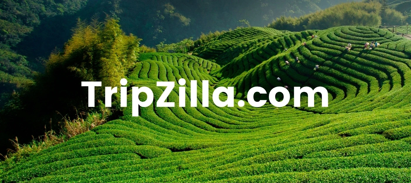 TripZilla.com