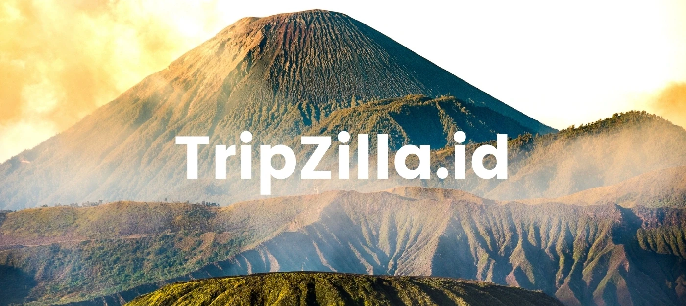 TripZilla.id