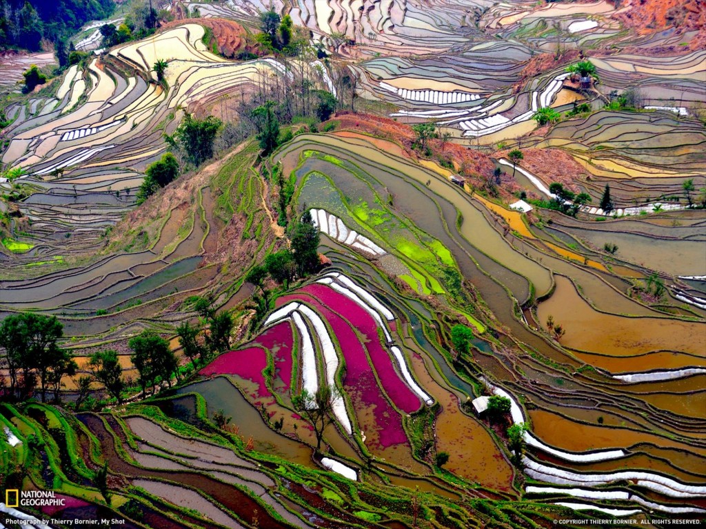 Terraced fields in Yuanyang County