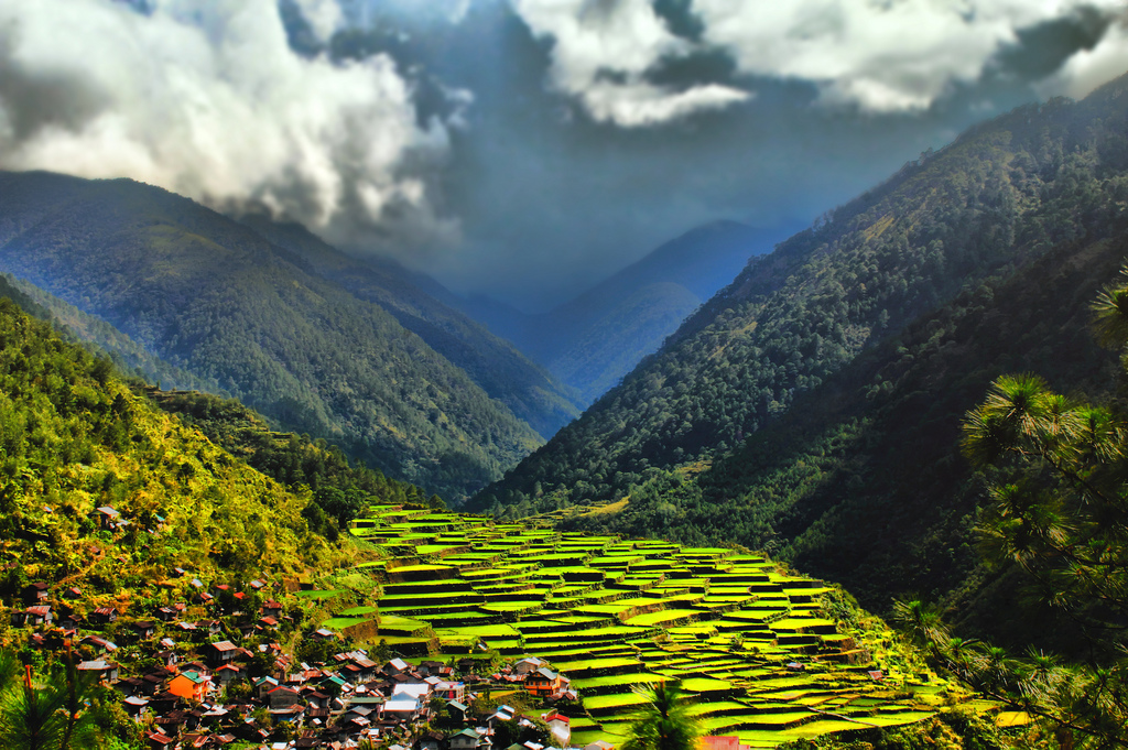 banaue-rice-terraces