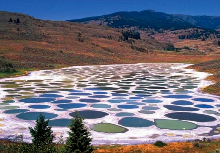 Spotted Lake