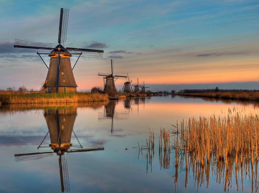 windmills