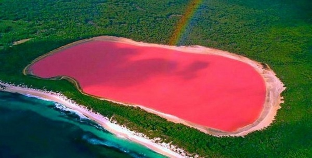 Lake Hillier Earth S Pinkest Landscape Lake Hillier