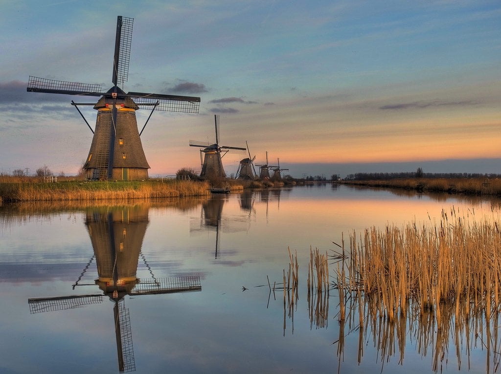 windmills