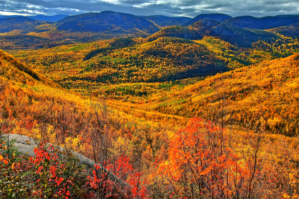 fall foliage tours eastern canada