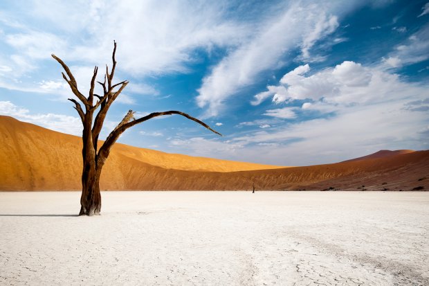 deadvlei