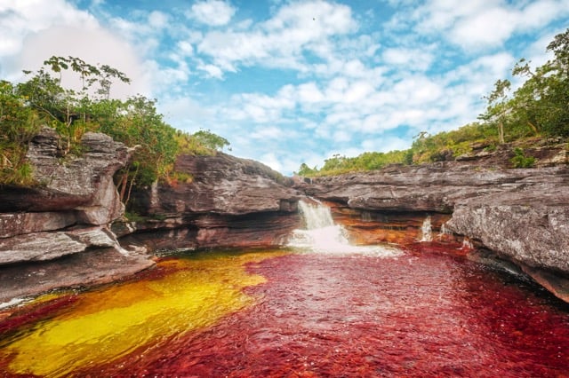 Cano Cristales Columbia