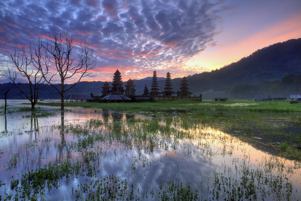 Tamblingan Morning Reflection, Tamblingan Lake, Bali - Indonesia