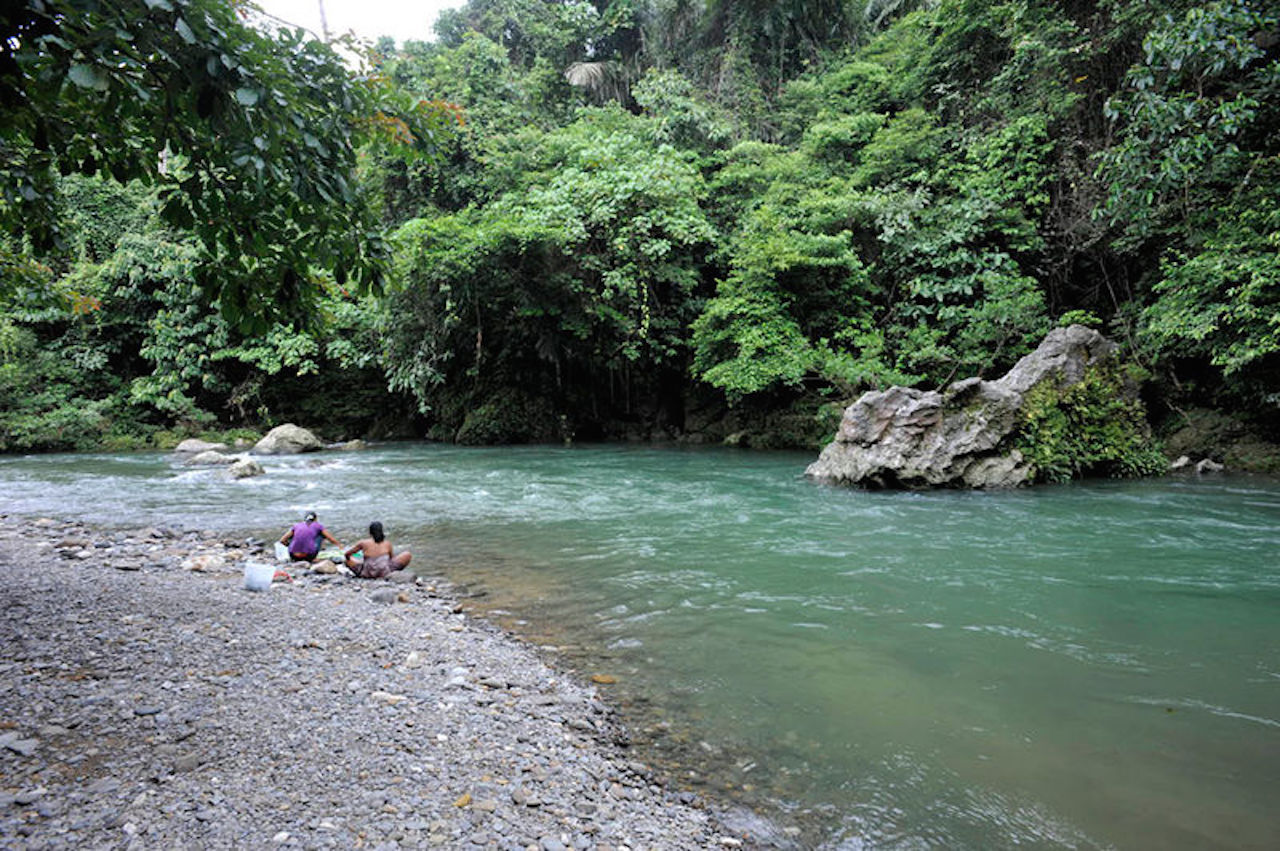 tangkahan sumatra