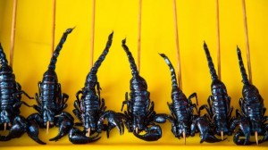 Scorpion Snack in Thailand