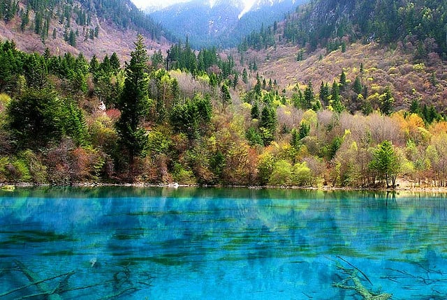 Jiuzhaigou Colorful Alpine Lakes