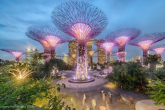 gardens by the bay