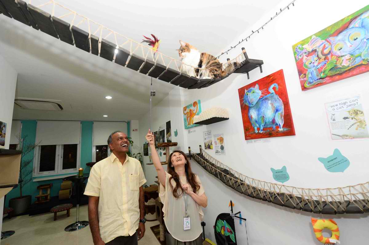 jcu museum of video and computer games