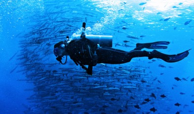 Diving Under Barracuda Point, Sipadan