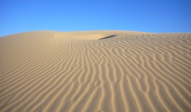 port stephens sand dunes