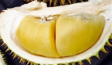 durian orchards malaysia