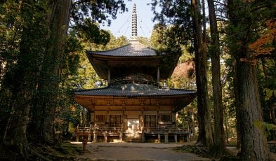 mount koya