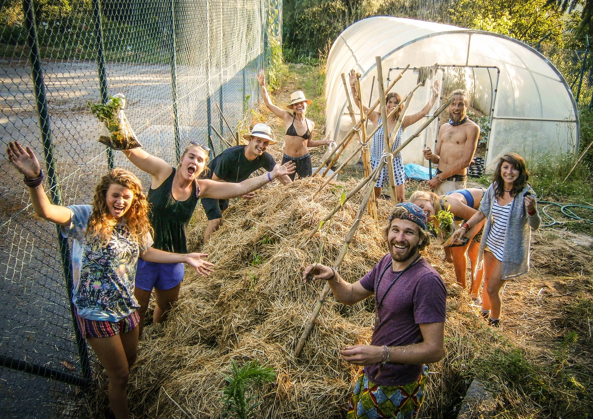 WWOOF Your Way Around The World: What Is WWOOF and How It Works