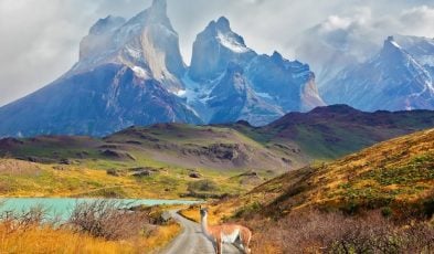 Majestic peaks of Los Kuernos over Lake Pehoe. On a dirt road is