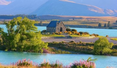 new zealand lake tekapo