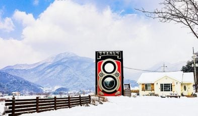 rolleiflex camera cafe