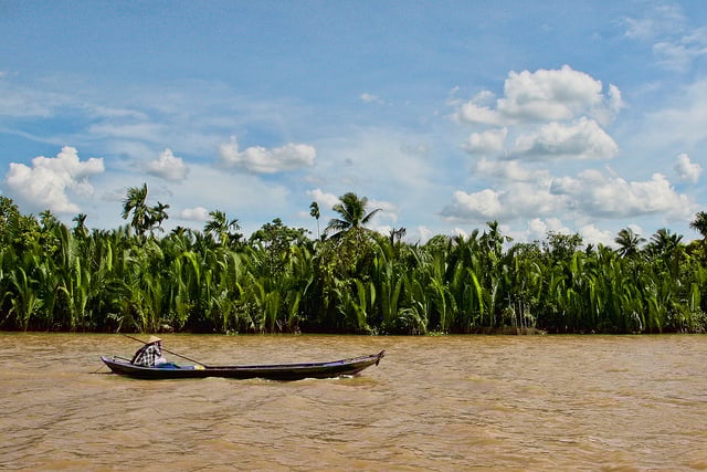 How to Explore the Mekong Delta from Ho Chi Minh City