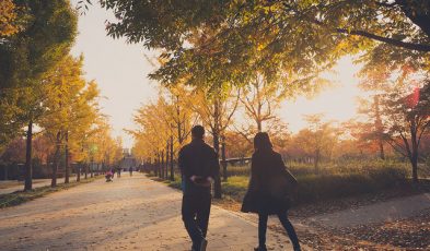 Seoul Forest