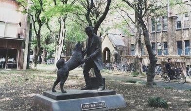 hachiko professor ueno statue