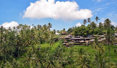 ubud, bali