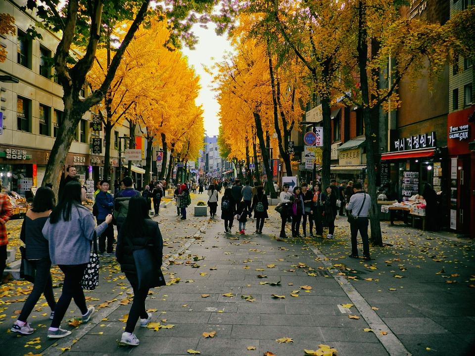 Where to Stay in Seoul: Hongdae, Itaewon, Myeongdong & More